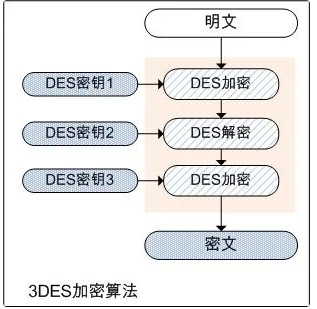 image-20250930152818274