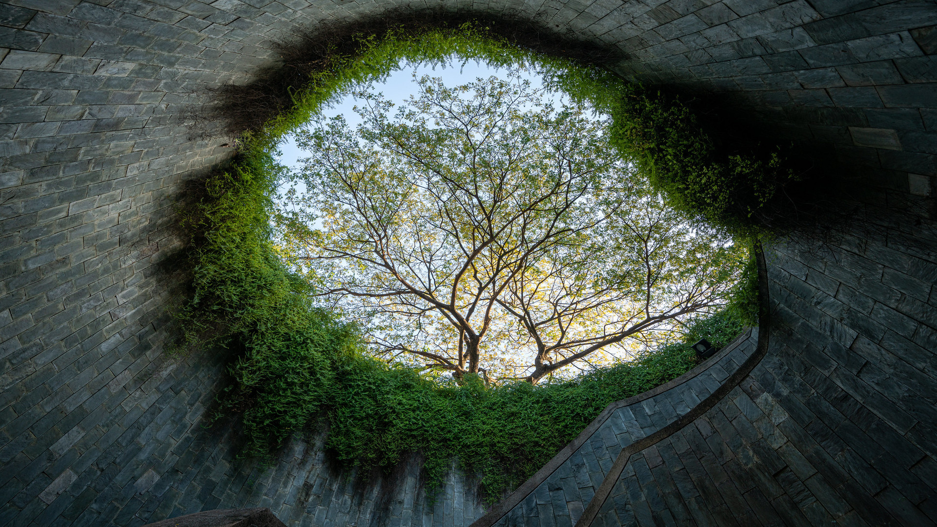 安卓逆向-从trace分析vmp中的SHA256算法